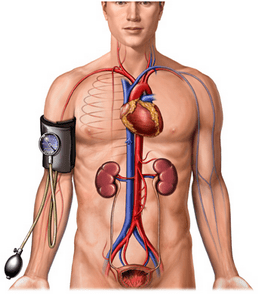 medirpresion_presionarterial